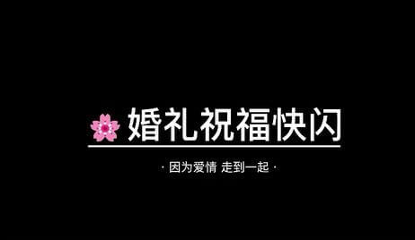 【084】32秒横屏婚礼前快闪字剪映模板-知客剪映库